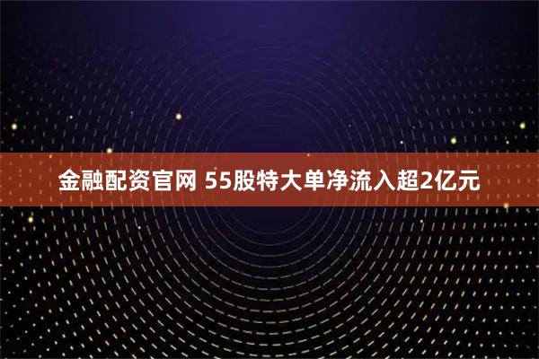 金融配资官网 55股特大单净流入超2亿元