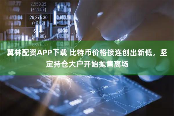 翼林配资APP下载 比特币价格接连创出新低,坚定持仓大户开始抛售离场